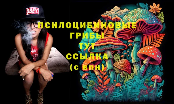 каннабис Горнозаводск