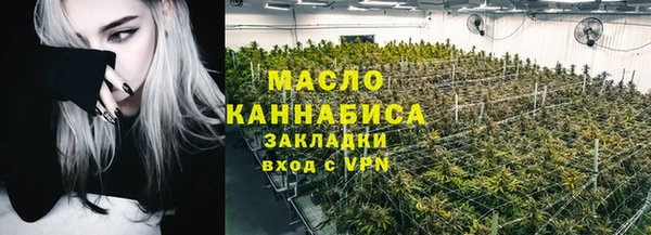 хмурый Гусь-Хрустальный