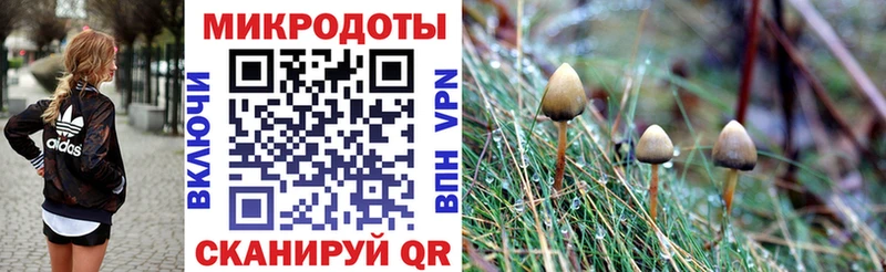 Псилоцибиновые грибы Cubensis Сарапул
